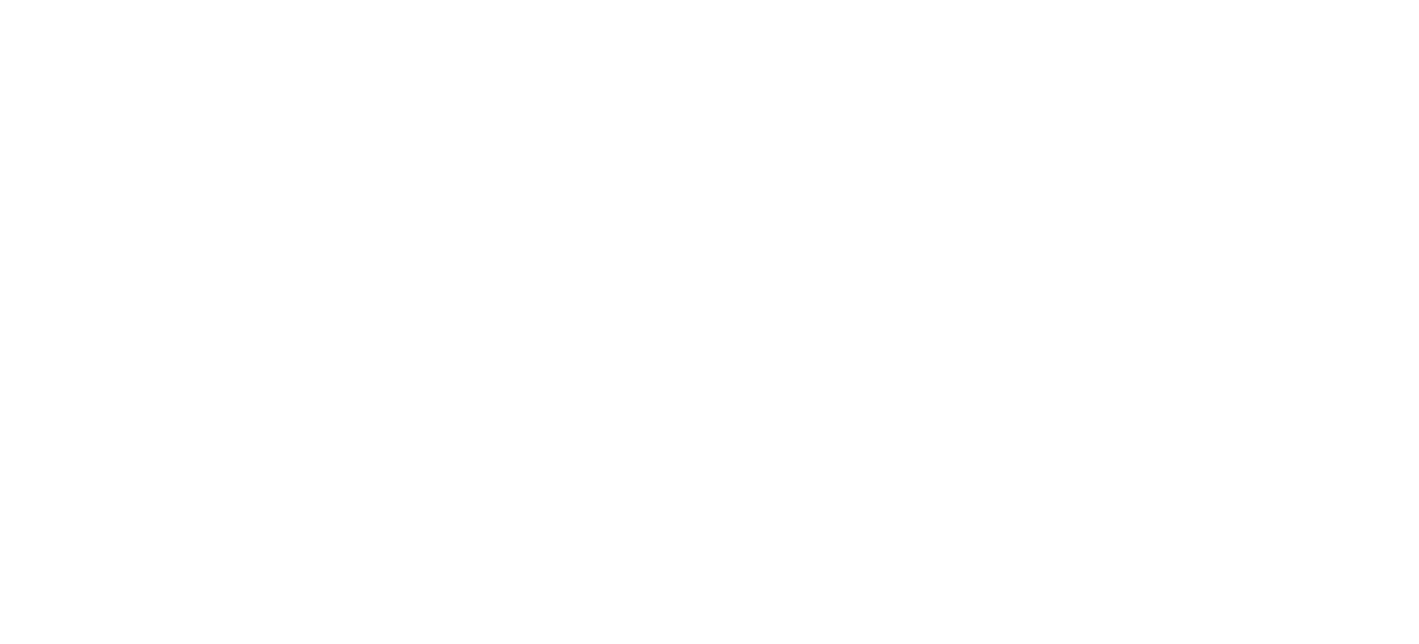TØDI logo